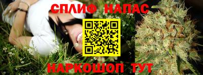 эйфоретик Новодвинск