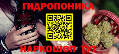 стафф Новокубанск