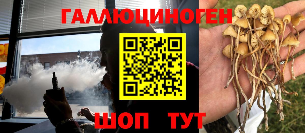 Галлюциногенные грибы GOLDEN TEACHER  купить наркотики сайты  Топки  Вход с VPN 